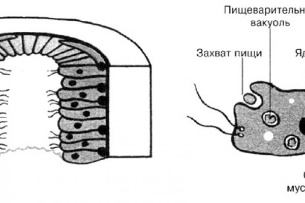 Мега кракен блэк спрут