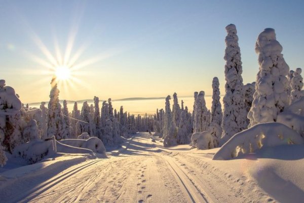 Ссылки на сайты даркнета